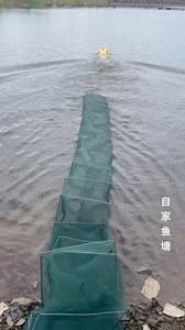 Fishing nest-setting trawler boat, have you seen it? | Tao Liu