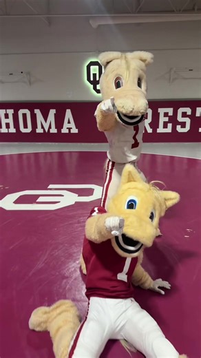 One Direction: A Look Back at Their Impact