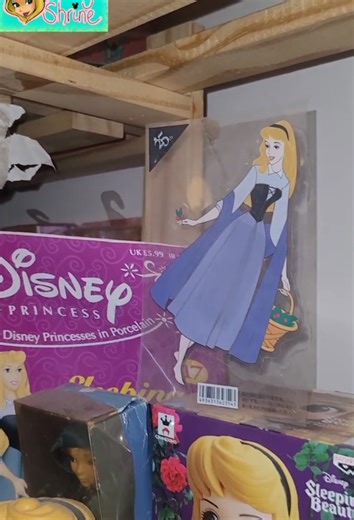 Disney Princess Sleeping Beauty Collection Haul