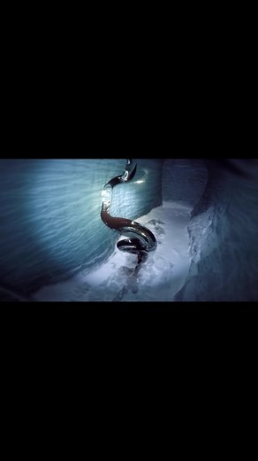 Explorers stumbled upon an anomaly deep within an ice cave. This footage shows their chilling discovery and the moment everything went wrong. Prepare for a jolt! 🚨 اكتشف مستكشفون ظاهرة غريبة في عمق كهف جليدي. هذا الفيديو يوثق اكتشافهم المخيف واللحظة التي ساء فيها كل شيء. استعد للصدمة! #foundfootage #creepy #icecave #scary #unknown #expedition #conspiracy #نظريات #مخيف #ماذا_يحدث | The Anomaly Files