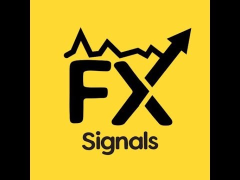 FxSignal Live Stream