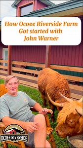 7.7K views · 150 reactions | Let’s learn a little bit of how Ocoee Riverside Farm got started. History between two cows! #scottishhighlands #cows U.S. Navy #navy #navylife #veterans #navyveteran #farm #zoo #Tennessee #chattanooga #polkcounty | Ocoee Riverside Farm | Facebook