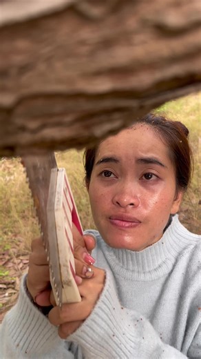 Essential Survival Skills for Outdoor Adventures