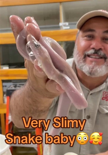 Amazing Snake Hatchling: Nature's Slimy Wonder Revealed