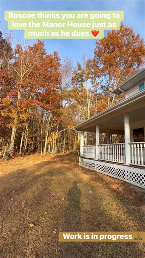 Roscoe feels you all are going to love the Manor House just as much as he does. Works happening! Lots of decisions being made. It’s such a sweet place! 🙏#amitycreekfarms #ncweddings #ncweddingvenue #ncfoothills #ncmountainwedding #weddingvenue #outdoorweddings #themanorhouseatamitycreekfarms #venue #smallevents #ncelopements | Amity Creek Farms