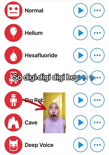 So digi digi digi hey voice effect meme