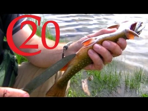 How to Gut/Clean a Fish while in the Wild