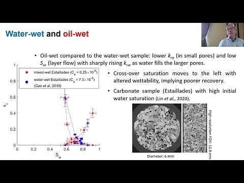 Relative permeability and recovery functions