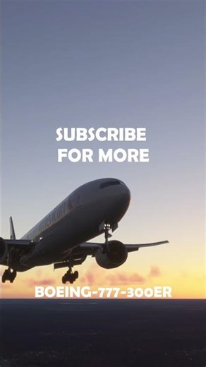 🌅 Detroit | Approach Under Beautiful Sunset | Boeing 777 #4