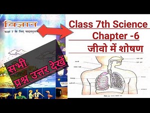 Class 7 Science | Chapter 6 Respiration in Organisms | All Questions and Answers | Science Class ...