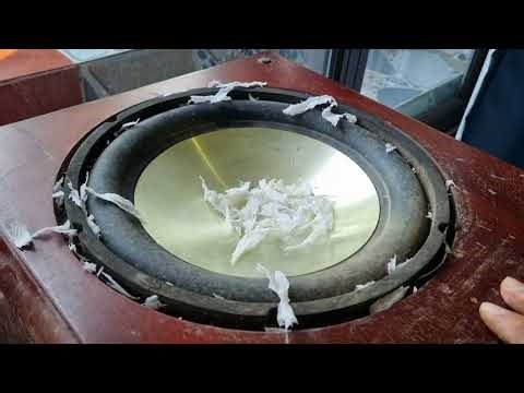 Extreme Bass Test 10-Year-Old 12 Subwoofer Flex!