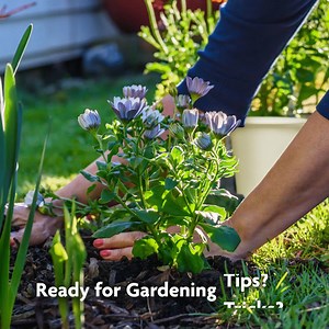 Gear up for growing success! Sign up for helpful tips, hints, and inspiration from our gardening experts! | Miracle-Gro