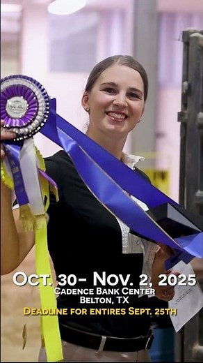 2025 Gypsy Vanner National Championships