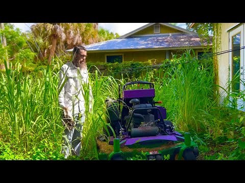 NOBODY would mow this NIGHTMARE of a yard for this KIND lady SO I DID FOR FREE!!! [INSANE MAKEOVER]
