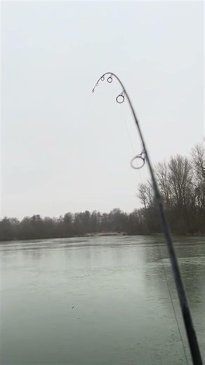 Heel het water vol met ijs, maar toch karpers vangen! Kijk het nu in onze nieuwste video🥶