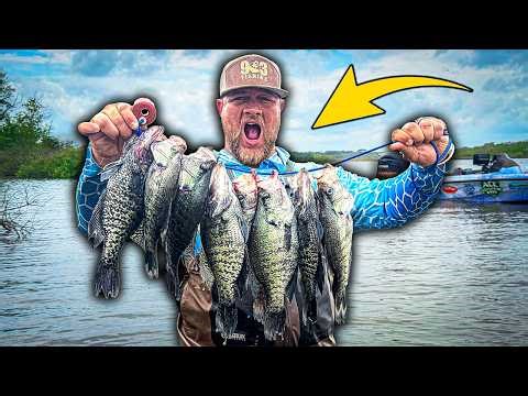 2 HOURS OF WADING FOR GIANT SPAWNING CRAPPIE IN 1 FOOT OF WATER!!