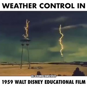 917K views · 13K reactions | Walt weather disney manipulation. 1959... just saying.狼樂 | Wat je niet ziet op TV | Facebook