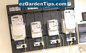 Hoe een Mandevilla-plant te overwinteren 🌱 Tips Tuinders - Nl.ezGardenTips.com