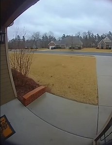 Literally, it happened 👀🦌 | Kevin Russell