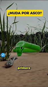 ¿Por qué Muda de Piel La Serpiente? #SabiasQue #curiosidades #reels | Sin Novedad