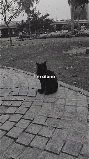 Motivational Words | Short Inspirational Video | Stay Positive 🌙