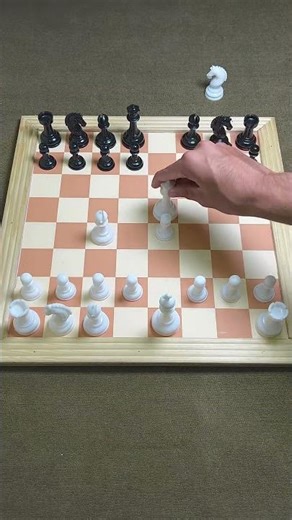 Easy chess trap for beginners #chess #chesscommunity #chessgame #chesspro #gothamchess #chessboard