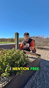 102 reactions · 13 comments | Bring nature to your doorstep with our online plant shop! Enjoy free shipping, unbeatable prices and your satisfaction guaranteed. Your perfect plants are just a click away!華 | Three Timbers Services | Facebook