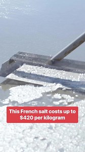 From salt marshes to your table this is the journey of Fleur de Sel which costs $420 per kilogram. #Salt #Expensive #French | Business Insider