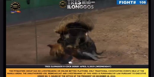 11K views · 171 reactions | WPC Pitmaster Highlights 4.0 on Reels | Facebook