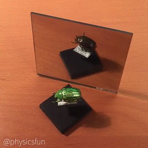 54K views · 660 reactions | Circularly Polarized Reflecting Scarab:...