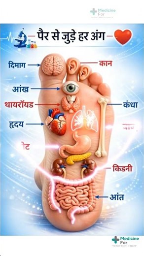 Foot Reflexology Chart Explained #shorts