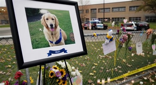 705K views · 36K reactions | Breaking News Hero Dog Dies a Legend  | Middle Pets | Facebook