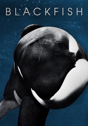 Blackfish streaming: where to watch movie online?