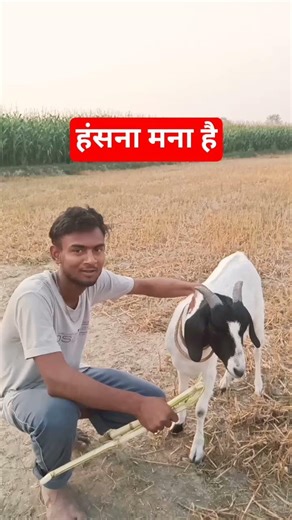 hansna Mana Hai Jo bhi Ho jaega vah comment kar de aur subscribe