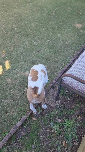 Anita Page Home Services, LLC on Reels