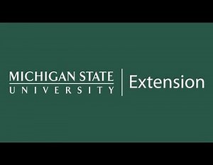 Wild Bees of Michigan