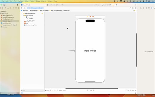 【Swift】【iOS开发】零基础实战教程-跟着老师上手制作xcode app (COMP228)