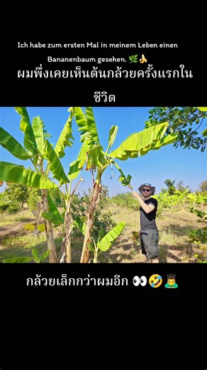 อะไรก็ตื่นเต้นไปหมดครับ ที่แฟรงก์เฟิร์ตไม่มีต้นกลัวย ปลูกยากครับ มีแต่ไส้กรอก 😁🤭 ฝรั่งน้อยลองเทียบดูแล้ว เล๋กกว่าไส้กรอกเยอรมันครับ ❤🥰😊 #ฝรั่งพูดไทย #ฝรั่ง #thailand #germany #fyp