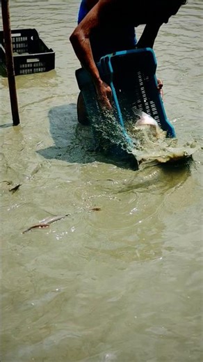 Solo Overnight Fishing in a Village River | Primitive Camp & Huge Catch! 🌙​