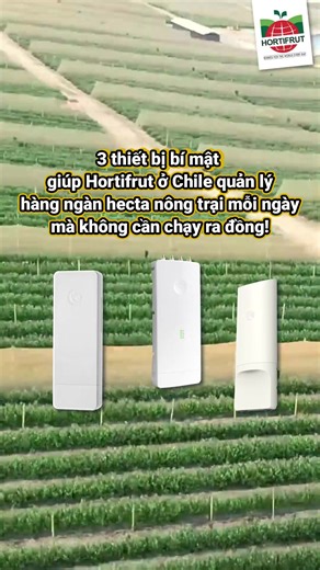 😲3 Thiết bị bí mật giúp Hortifrut ở Chile quản lý hàng ngàn hecta nông trại mỗi ngày mà không cần chạy ra đồng 👇 #CNTTShop #Cambium #casestudy_cambium | Thiết bị mạng - Cnttshop.vn