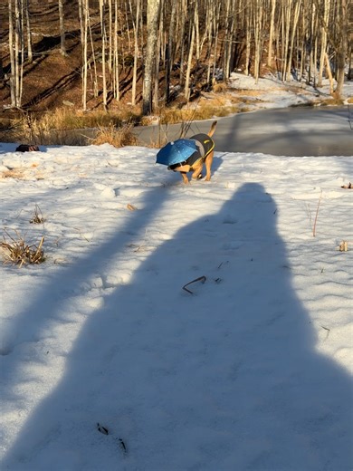 Minion and His Umbrella Adventures