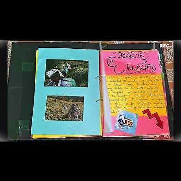 Class - 12 Economics project file, Topic - Srilanka crisis 2025-2026 #economy #project #file