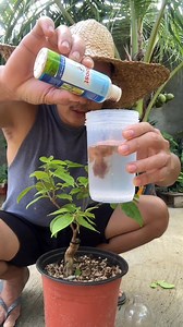 736 reactions · 57 shares | Kahit gaano kadalas mong didiligan, kung...