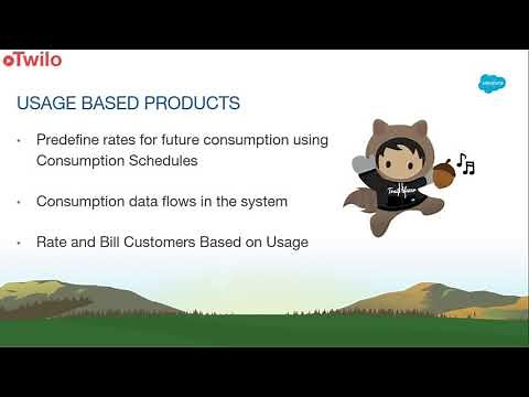 Salesforce Billing Overview