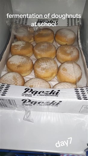 Fermentation Process of Doughnuts at School