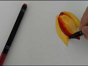 Técnica básica rotulador