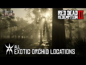RDR2 All Exotic Orchid Locations For Exotics Quest in Red Dead Redemption 2