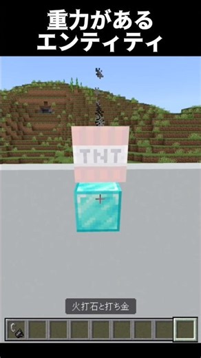 重力のあるエンティティを紹介 #マイクラ #マインクラフト #minecraft #shorts
