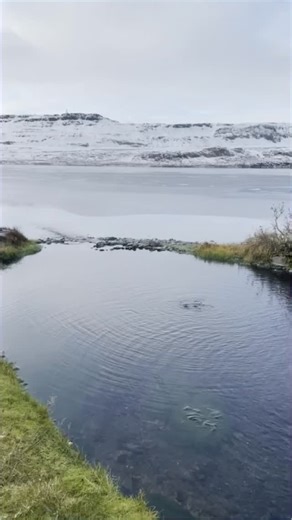 56 reactions · 3 comments | A perfect Saturday begins with slow...