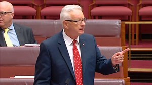 316K views · 1.3K reactions | When Pauline Hanson slandered hard working Australian Muslims today, I simply could not let it go unchallenged. One Nation makes no constructive contribution on any issue of importance to working people, and instead just tries to divide people for their own personal political benefit. Australian Muslims contribute to our nation every day - far more important contributions than Pauline Hanson will ever make. | Doug Cameron | Facebook